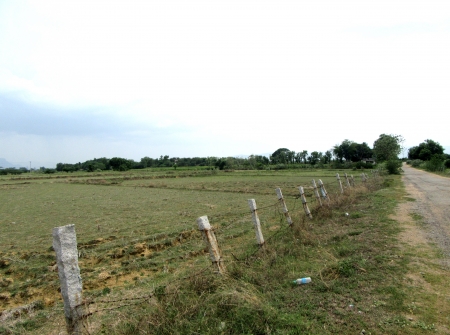 7) Li Id 225 - Pic 8.JPG
